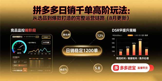 拼多多日销千单高阶玩法：从选品到爆款打造的完整运营链路(8月更新-云推网创项目库