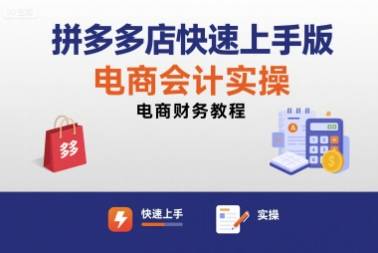 拼多多店快速上手版电商会计实操-电商财务教程-云推网创项目库