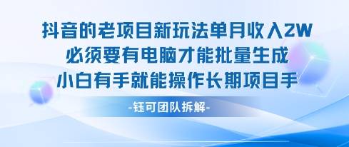 老项目新玩法单月收入2W小白有手就能操作长期项目-云推网创项目库