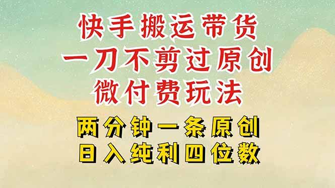 快手黑科技搬运带货，一刀不剪过原创，微付费投流玩法，轻松日入四位数…-云推网创项目库