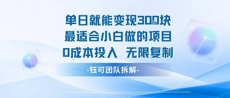 单日就能变现3张最适合小白做的项目0成本投入 无限复制-云推网创项目库