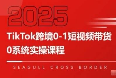 TikTok跨境0-1短视频带货，系统拆解TikTok跨境带货全链路，实现跨境可持续盈利-云推网创项目库