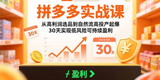 拼多多实战课：从高利润选品到自然流高投产起爆 30天实现低风险可持续盈利-云推网创项目库