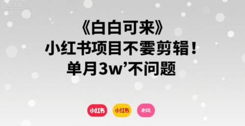 小白可来 小红书项目不需要剪辑 单月3w不是问题-云推网创项目库