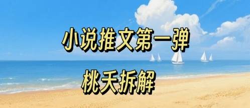 小说推文项目操作全流程第一弹，0粉就能做，门槛低非常适合新手-云推网创项目库