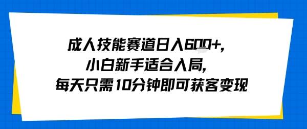 成人技能赛道日入多张，小白新手适合入局，每天只需10分钟即可获客变现-云推网创项目库