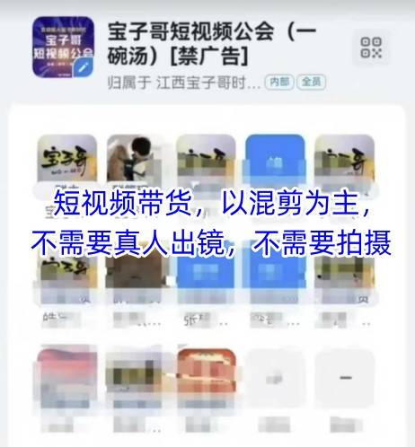 宝子哥头部团队短视频带货，以混剪为主，不需要真人出镜，不需要拍摄【更新8月】-云推网创项目库