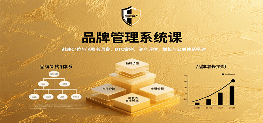 品牌管理系统课：战略定位与消费者洞察，DTC案例、资产评估，增长与公关体系搭建-云推网创项目库