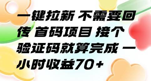 一键拉新 不需要回传 首码项目 接个验证码就算完成 一小时收益70+【揭秘】-云推网创项目库