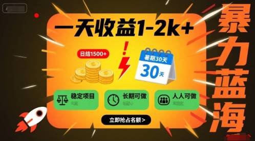 一天收益1-2k+ 稳定项目，暑期暴力蓝海项目，长期稳定，人人可做【揭秘】-云推网创项目库