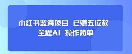 小红书蓝海项目，全程AI，操作简单，已挣五位数-云推网创项目库