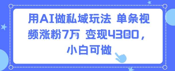 用AI做私域玩法，单条视频涨粉7W变现4.3k，小白可做-云推网创项目库