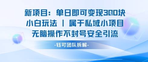 新项目单日即可变现3张的小白玩法无脑操作不封号安全引流-云推网创项目库