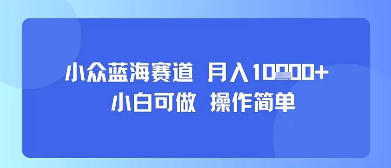 小众蓝海赛道，小白可做，操作简单，每天30分钟，月入1W+-云推网创项目库