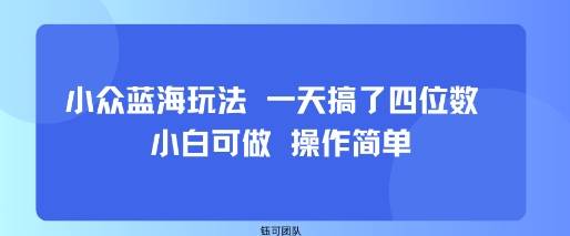 小众蓝海玩法 一天搞了四位数 小白可做 操作简单-云推网创项目库