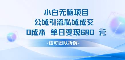 小白无脑项目公域引流私域成交0成本单日变现680米-云推网创项目库