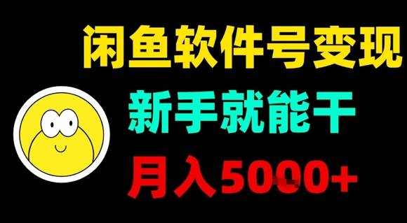 闲鱼软件号变现，新手就能干，月入5k+-云推网创项目库