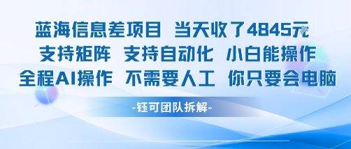 蓝海信息差项目当天收米1k+ 支持矩阵支持自动化小白能操作全程AI操作不需要人工你只要会电脑-云推网创项目库