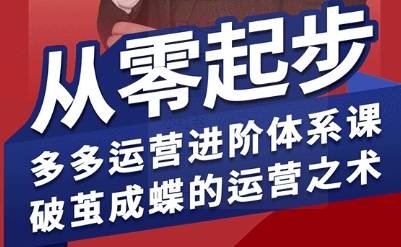 拼多多运营进阶系统课，从零起步，多多运营进阶体系课，破茧成蝶的运营之术-云推网创项目库