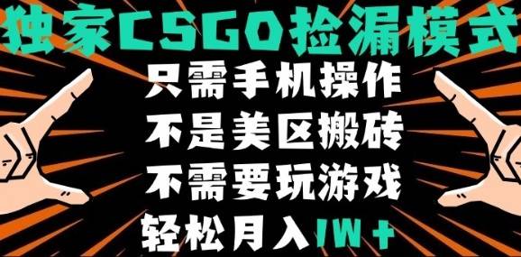 CSGO自动捡漏项目，最新独家玩法，不是美区搬砖，不需要了解和玩游戏，新手小白轻松月入1W+【揭秘】-云推网创项目库