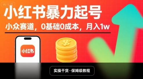 小红书暴力起号，小众赛道，0基础0成本，月入1w-云推网创项目库