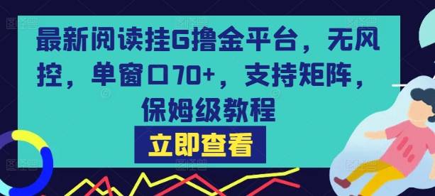 最新阅读挂G撸金平台，无风控，单窗口70+，支持矩阵，保姆级教程【揭秘】-云推网创项目库