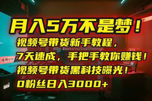 月入5万不是梦！视频号带货新手教程，7天速成，手把手教你赚钱！视频号…-云推网创项目库