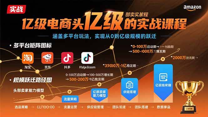 亿级电商头部卖家的实战课程：涵盖多平台玩法，实现从0到亿级规模的跃迁-云推网创项目库