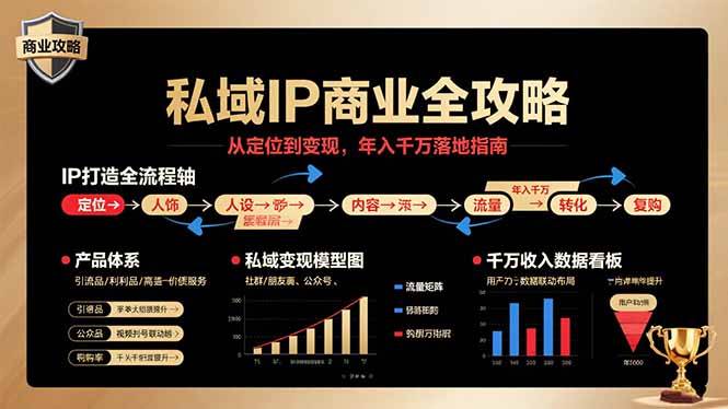 私域IP商业全攻略，从定位到变现，年入千万落地指南-云推网创项目库