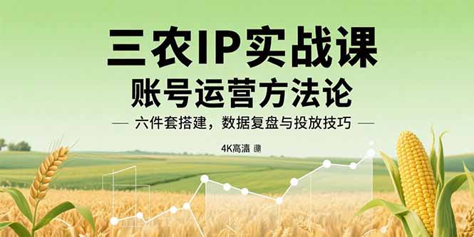 三农IP实战课：账号运营方法论，六件套搭建，数据复盘与投放技巧-云推网创项目库
