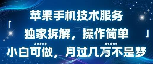 苹果手机技术服务，独家拆解，操作简单，小白可做，月过1W不是梦-云推网创项目库