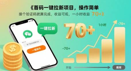 首码一键拉新项目，操作简单，接个验证码就算完成，收益可观， 一小时收益70+【揭秘】-云推网创项目库