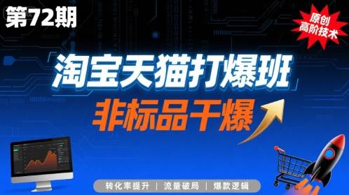 淘宝天猫打爆班原创高阶技术第72期，非标品干爆-云推网创项目库