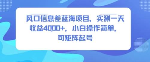 风口信息差蓝海项目，实测一天收益4k+，小白操作简单，可矩阵起号-云推网创项目库
