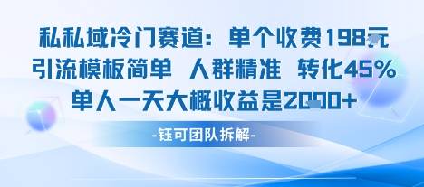 私域冷门赛道单个收费198米引流模板简单人群精准 45%的转化率单人一天大概收益多张-云推网创项目库