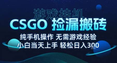 8月最新游戏搬砖，CSGO纯挂G，不需要玩游戏，实现真挂G，月入1W+【揭秘】-云推网创项目库