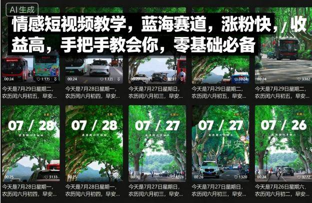 情感短视频教学，蓝海赛道，涨粉快，收益高，手把手教会你，零基础必备-云推网创项目库