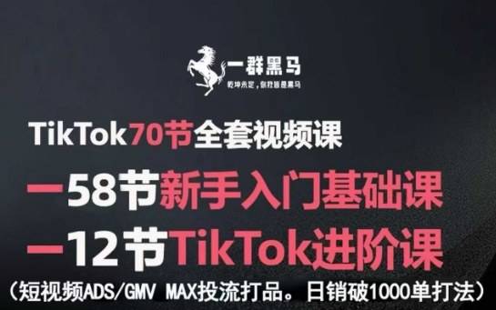 TikTok全套视频课，新手入门+进阶课，短视频ADS-GMV MAX投流打品，日销破1000单打法-云推网创项目库