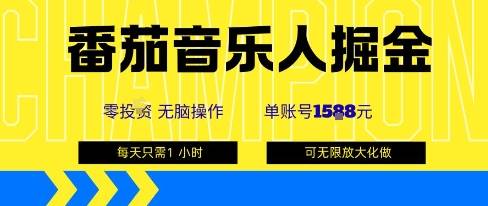 番茄音乐人掘金，单账号最高可撸1k+，可无限矩阵去做，零投入-云推网创项目库