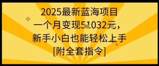 2025最新蓝海项目一个月变现1w+新手小白也能轻松上手【附全套指令】-云推网创项目库
