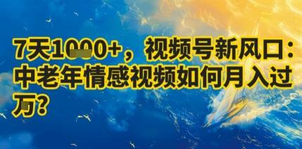 7天收益1k+，视频号新风口：中老年情感视频如何月入过W?-云推网创项目库