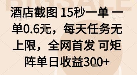 酒店截图15秒一单，一单0.6米，每天任务无上限，全网首发可矩阵单日收益3张【揭秘】-云推网创项目库