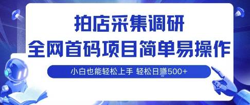 拍店采集调研，全网首码项目，简单易操作， 小白也能轻松上手，多账号操作，轻松日入5张【揭秘】-云推网创项目库