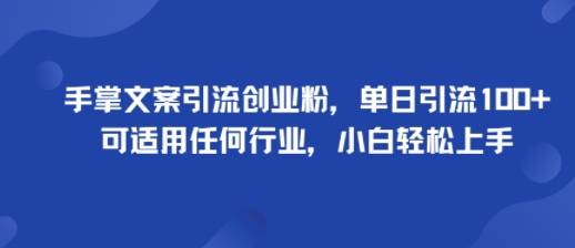 手掌文案引流创业粉，单日引流100+，可适用任何行业，小白轻松上手-云推网创项目库