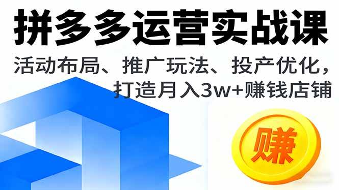拼多多运营实战课，活动布局、推广玩法、投产优化，打造月入3w+赚钱店铺-云推网创项目库