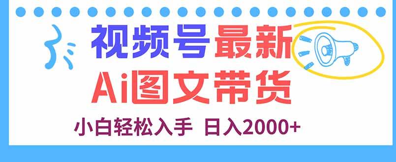 视频号最新AI图文带货，每天几分钟，小白轻松入手，日入2000+-云推网创项目库