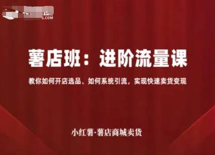 小红薯薯店商城卖货，进阶流量课，教你如何开店选品、如何系统引流，实现快速卖货变现-云推网创项目库