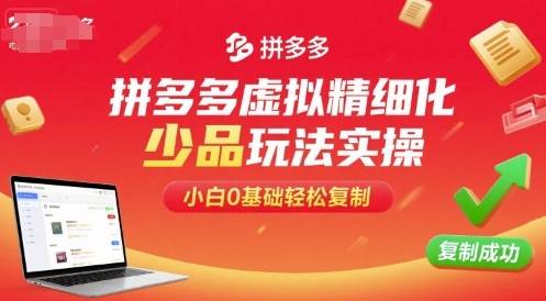 拼多多虚拟精细化少品玩法实操，小白0基础轻松复制-云推网创项目库
