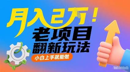月入2W！老项目翻新玩法，小白上手就能做，非常容易上手-云推网创项目库