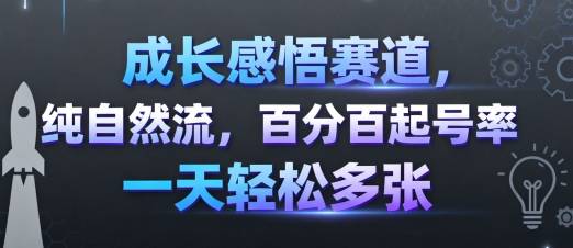 成长感悟赛道，纯自然流，百分百起号率 一天轻松多张-云推网创项目库